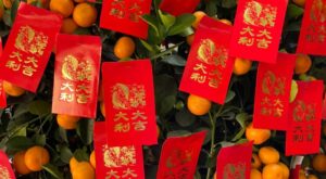 10 Symbolic & Traditional Foods for Chinese New Year in 2023 – Oriental Mart
