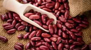 Can Kidney Beans Be Toxic? Here’s How To Cook Rajma Safely