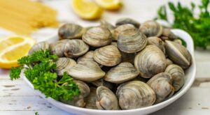 14 Clam Types, Varieties, and How To Use Them