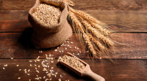 No Grain Diet: Is It Actually Healthy? – BlackDoctor.org