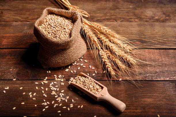No Grain Diet: Is It Actually Healthy? – BlackDoctor.org