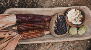 How A James Beard Award Winner Plans To Bring Indigenous Foods Back To Tribal Communities – Tasting Table