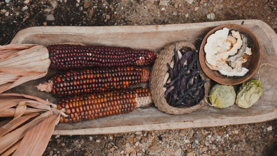 How A James Beard Award Winner Plans To Bring Indigenous Foods Back To Tribal Communities – Tasting Table