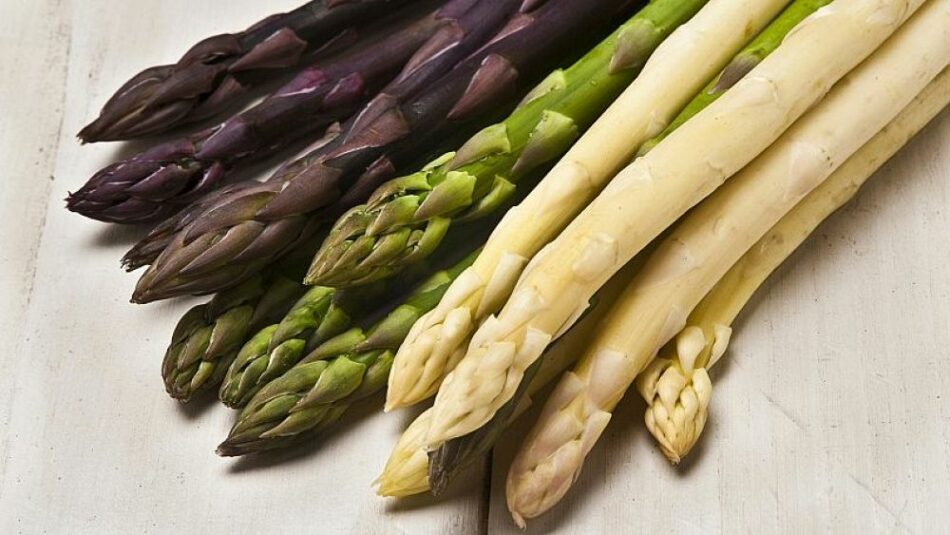 Asparagus! Why it’s Germany’s favourite vegetable and how to cook it