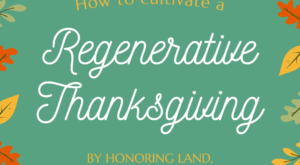 The Elm | How to Have a Regenerative Thanksgiving