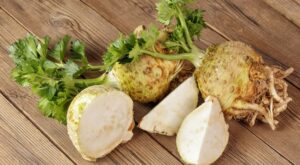 What Is Celeriac? Get to Know and Love the Homely Root Vegetable