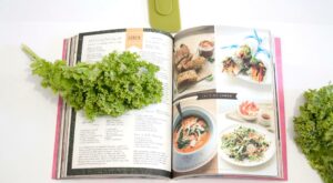 Best Vegan Cookbooks For 2023: Top 5 Guides Most Recommended By Experts