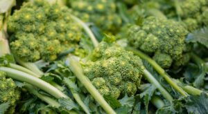 Broccoli Rabe vs. Broccolini: Which Vegetable is Right for You