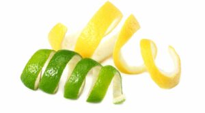 Ingredion launches new clean label texturizers made from citrus peels