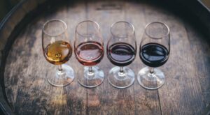 All the primary types of wine (and everything you need to know about them)