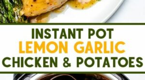 Top 10 instant pot dinner recipes ideas and inspiration