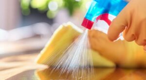 How A Food Safety Expert Cleans Her Kitchen