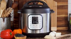 The Safety Checklist To Hit Before Putting Ingredients In An Instant Pot – The Daily Meal