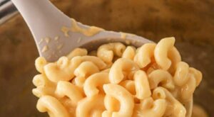 Instant Pot Mac and Cheese | A Super Easy Dinner Idea