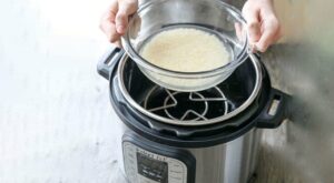 Rice Cooker vs. Instant Pot | Digital Trends