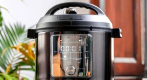 You Should Buy the New Instant Pot. Just Ignore Its App