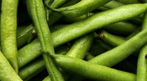 How to Keep Green Beans Fresher Longer