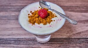 Kane’s Cuisine: Alison Roman’s no-bake  berrylicious dessert