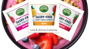 Open Nature Dairy-Free Coconut Yogurt Reviews & Info