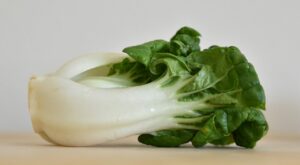 How to Cook Bok Choy: 5 Best Recipes