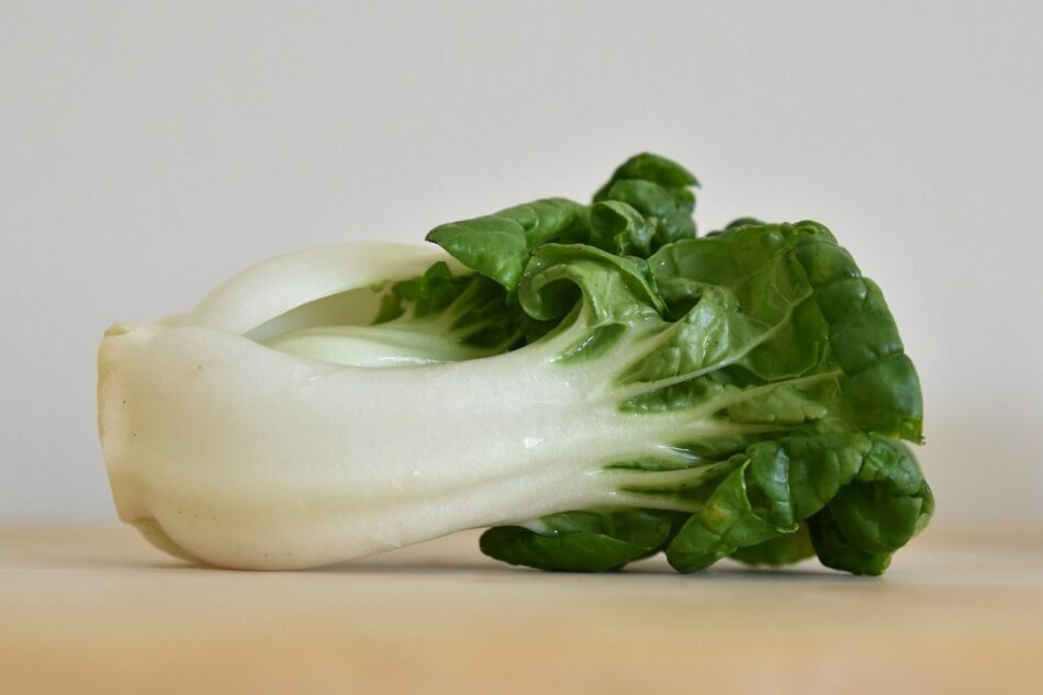How to Cook Bok Choy: 5 Best Recipes