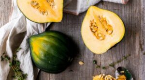 How to Cook Acorn Squash? Discover 7 Delightful Ways! – usatales.com
