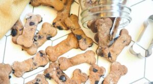 Win Over Your Pup With These Easy Homemade Dog Treat Recipes