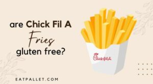 Are Chick Fil A Fries Gluten Free? Answered (2023 Updated)