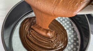 ‘Most delicious’ and ‘moist’ chocolate cake uses Heinz tomato soup – Express