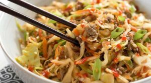 Beef and Cabbage Stir Fry – with VIDEO – Budget Bytes