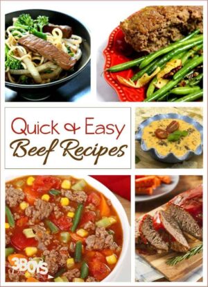 Easy and Quick Beef Recipes – 3 Boys and a Dog