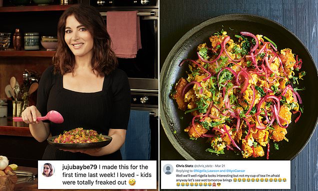 Nigella Lawson fans divided over the TV chef’s version of an Indian dish made with FISH FINGERS