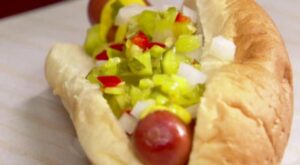 Sandwich King Hot Diggity Dog Highlights 