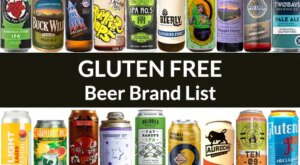 Best Gluten Free Beer Brands – The 2023 Beer List