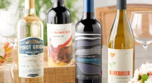 Geoffrey Zakarian 12 Bottle Organic Wine Collection – QVC.com