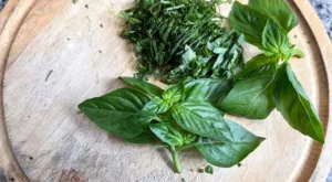 Basil In Cooking: Here’s What You Can Prepare
