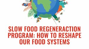 CALL FOR APPLICATION: Slow Food RegenerAction Program: how to reshape our food systems – Slow Food International