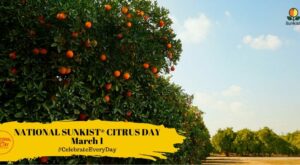 NATIONAL SUNKIST CITRUS DAY | March 1