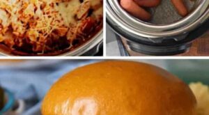 25 Easy Family Instant Pot Recipes – Everyday Family Cooking