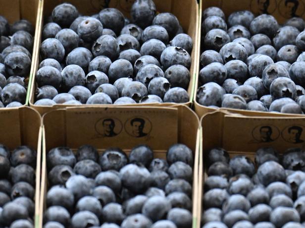 Just Eat the Non-Organic Blueberries – Here’s Why You Should Disregard the ‘Dirty Dozen’