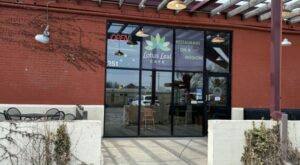 The Vegan and gluten-free restaurant, Lotus Leaf Cafe, revisited | Wichita By E.B.