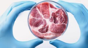 Italy moves to ban lab-grown meat in bid to protect food heritage