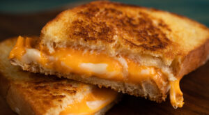 The Best Grilled Cheese In The US, According To Tasting Table Staff – Tasting Table