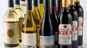 Geoffrey Zakarian Wine Insiders 12-Btl Spring Wine Collection – QVC.com