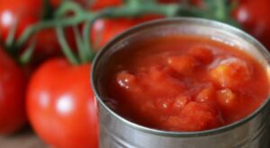 Are Canned Tomatoes Good or Bad?