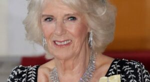 Queen Consort Camilla Pays Tribute to Queen Elizabeth with Her Accessories at State Banquet – AOL