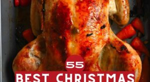 55+ Best Christmas Dinner Ideas To Impress – Alphafoodie