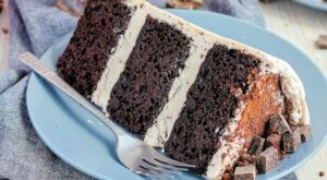 Mandy Merriman’s dark chocolate huckleberry shake cake recipe – GMA
