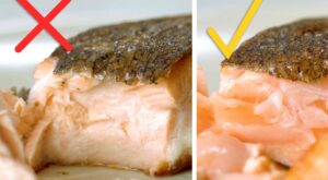 The Best Way to Cook Salmon – We Tested 5 Methods – The Kitchn