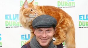 Inside The Pantry Bobby Flay Shares With His Cat – Mashed